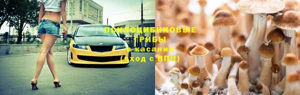 a pvp Няндома