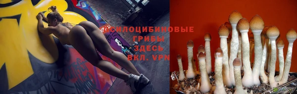 a pvp Няндома