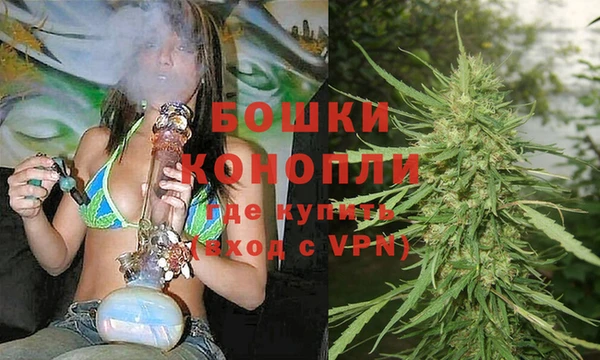 прущая мука Дмитриев