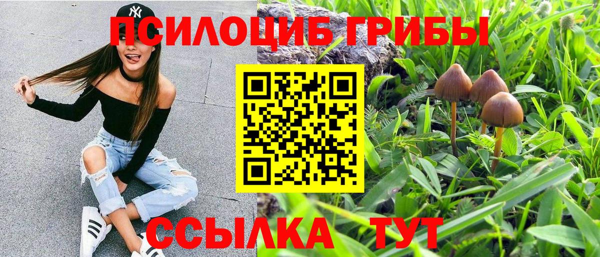 Псилоцибиновые грибы Psilocybine cubensis  что такое   Киржач 
