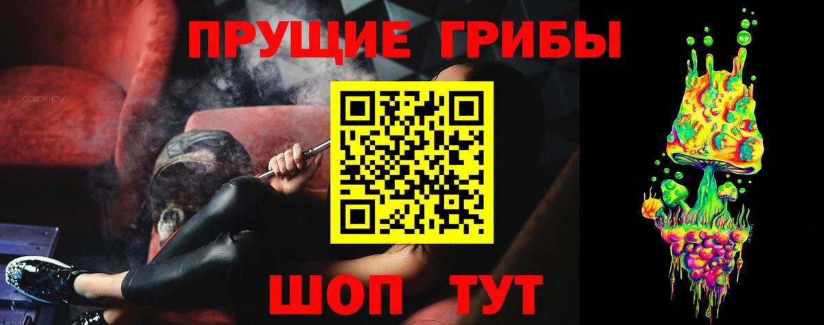 Галлюциногенные грибы Psilocybe Киржач