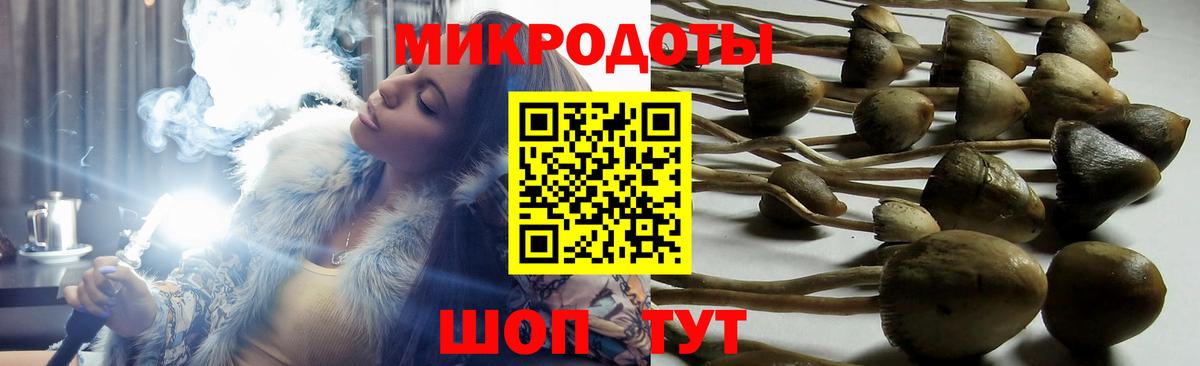 Киржач  Галлюциногенные грибы Psilocybine cubensis  Галлюциногенные грибы мухоморы  Вход с VPN 